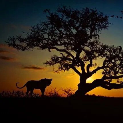 创纪录新船<em>订单</em>涌入，集装箱航运市场<em>或</em>迎<em>重大</em>冲击！