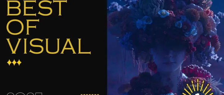 《寂静岭f》斩获「IGN JAPAN GOTY 2025」四项大奖！