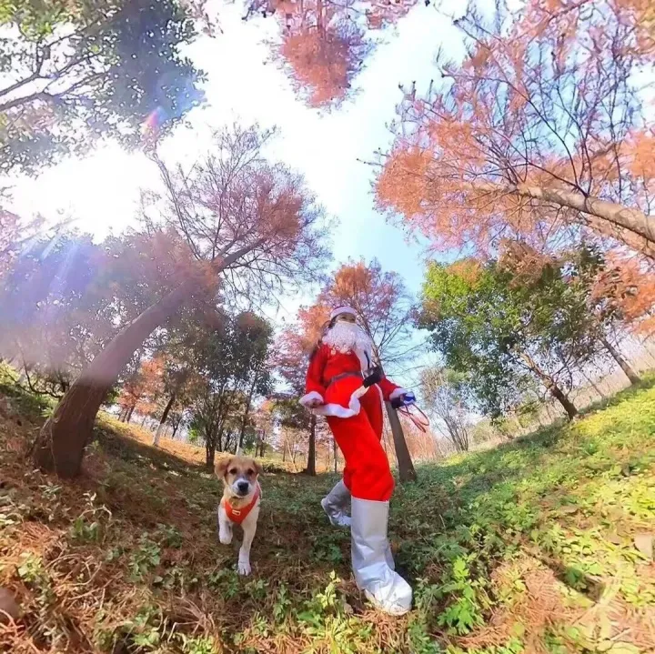 【MERRY XMAS】DEC13 SH countryside hiking&CHRISTMAS Bonfire Party