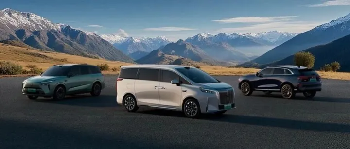 魏牌新能源跨年购置税补贴来啦！