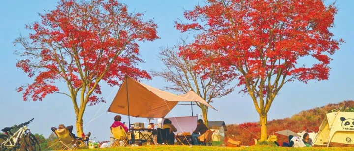 <em>Winter</em>’s crimson trail, an encounter with leisurely moments