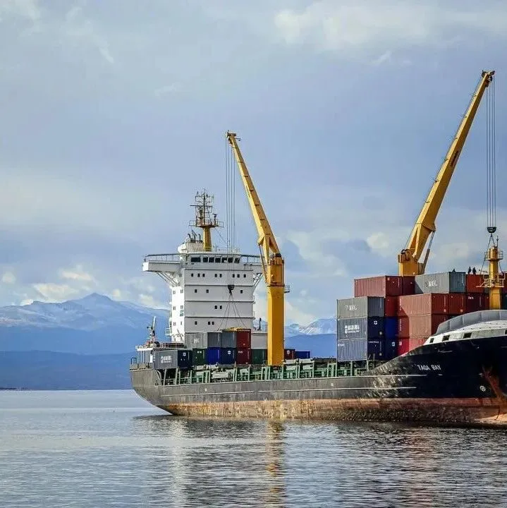 【政策法规】德国再次修订进口受管制货物风险商品清单