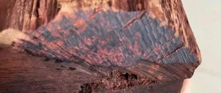 越南广治：警惕中国人 高价收购木材、已加强巡逻！