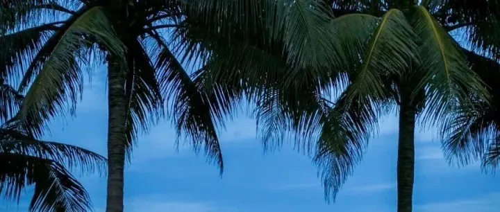 【政策法规】九问九答！海南自贸港全岛封关，将带来这些红利