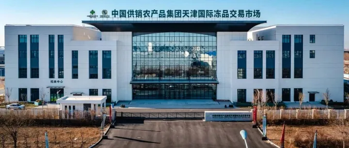 集散全球冻品！中国供销农产品集团天津国际冻品交易市场在生态城启动运营