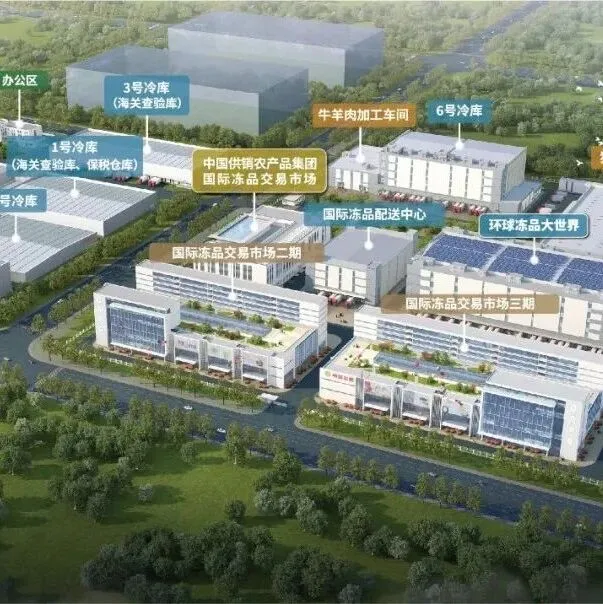 会员丨中国供销农产品集团天津国际冻品交易市场启动