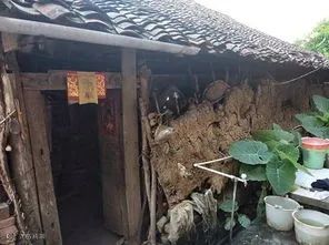 张家口全市农村危房改造31195户