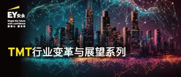 TMT行业变革与展望系列 | 2025 年电信行业十大风险