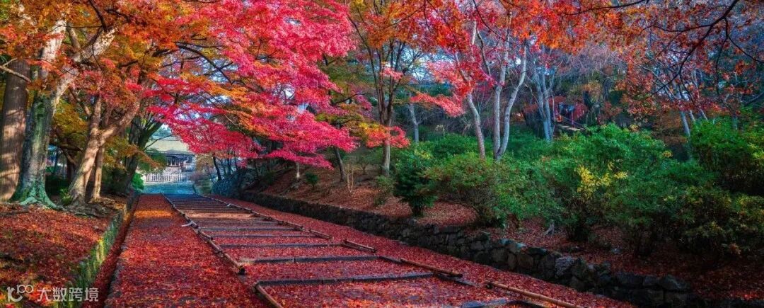 点击查看图片来源