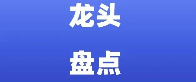 收藏 | A股“唯一性”龙头盘点