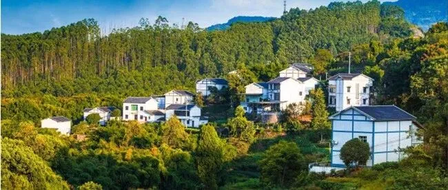 Qijiang: Where scenery paints the <em>land</em> and rural charm sings