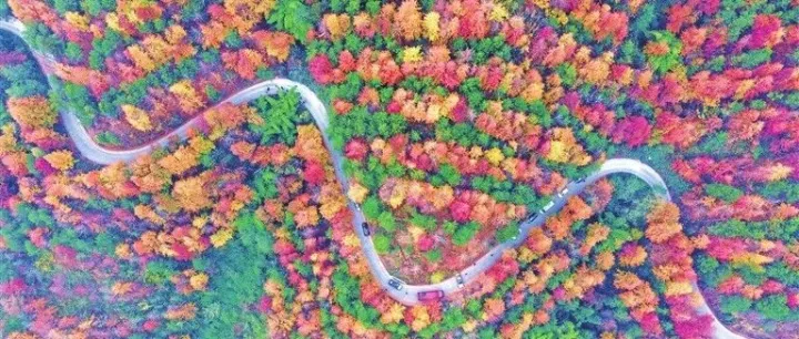 Zhongxian: Hillsides woven with colorful forests