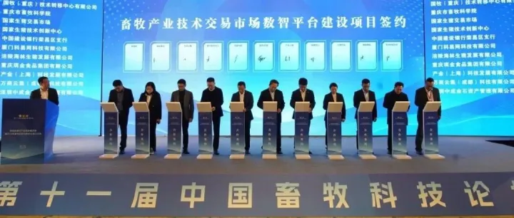 科易网签约国家畜牧产业技术交易市场！共绘产业数智升级新蓝图