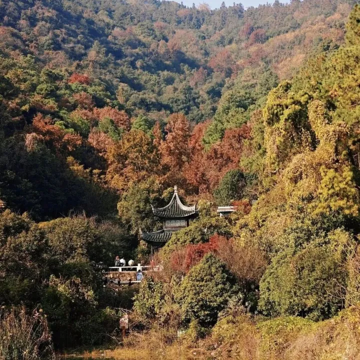 【NEW & WORKDAY】DEC10TH Suzhou Wangshan Hiking 10km