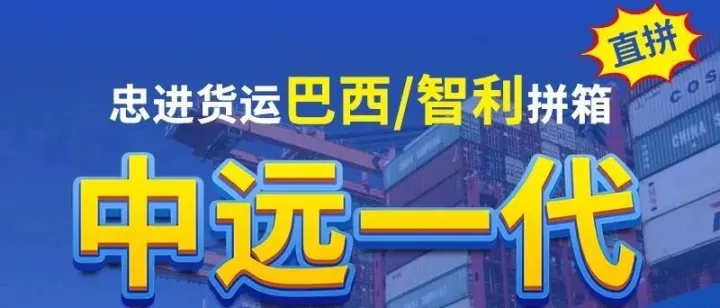 青岛---巴西、智利拼箱