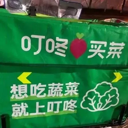 叮咚买菜闯香港：年销1亿只是起点？生鲜巨头的跨境破局路