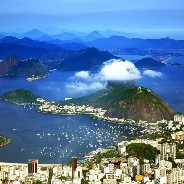 巴西双清到门？专线也需合规先行！