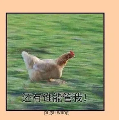 26考研初试全流程公布！