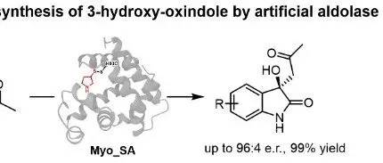江南大学周志组OL｜定向进化人工醛缩酶用于3-羟基氧化吲哚的不对称合成