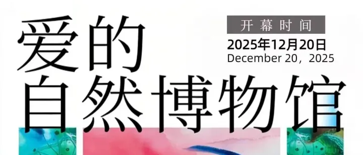 “爱的自然博物馆：海南雨林海洋共生艺术展”在海口红燕堂启幕，以艺术谱写生态共生的自然诗篇