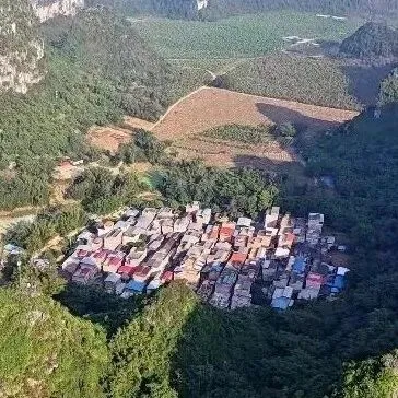 【视频】隆安南圩镇这个屯名有意思：“民” 字原来指的是木棉树