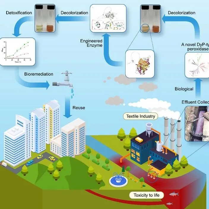 福建师大李力/张明亮等合作BT | 过氧化物酶在生物催化脱色与废水净化中的应用