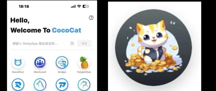 直播间爆了！普通人抓住菠萝猫，竟能改写10年财富命盘？