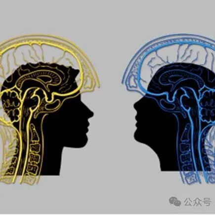 工作生活中的5个顶级思维（深度）