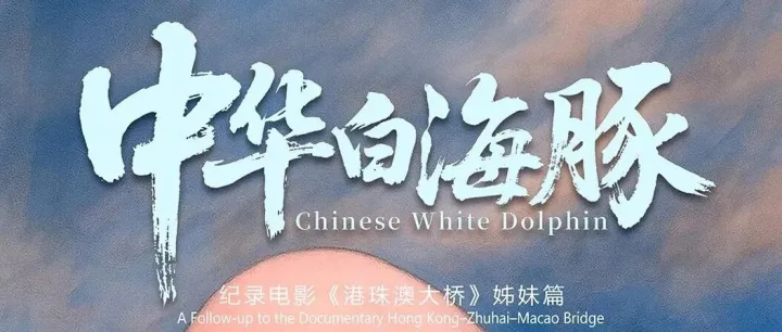 光影共鸣！听总导演讲《中华白海豚》为何震撼人心