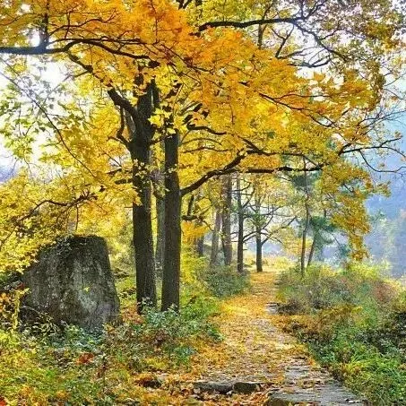 DEC5-7th Hiking @Nanhuang Ancient Path, Autumn Scenery