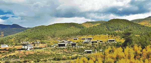 点击查看源网页