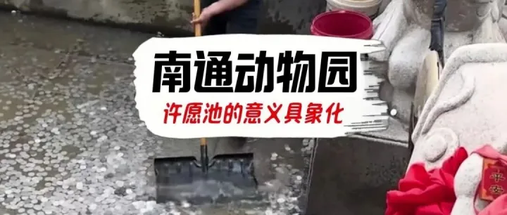 中国最灵的许愿池在<em>南通</em>动物园-12083枚硬币照亮了一个孩子的生命