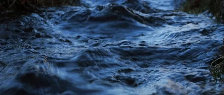 WhatsApp，又出大麻烦！！