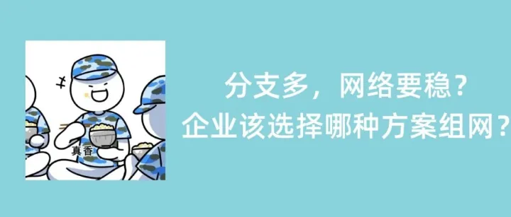 分支多，网络要稳？企业该选择哪种方案组网？