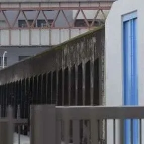 丸龟制面平安夜停业 | 番茄价格暴涨四成 | 英国首次夺冠，日本重返第九位