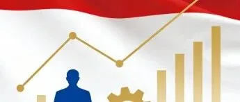 【创业知识】印尼投资税收全指南：从实体选择到合规风控，一文筑牢税务框架