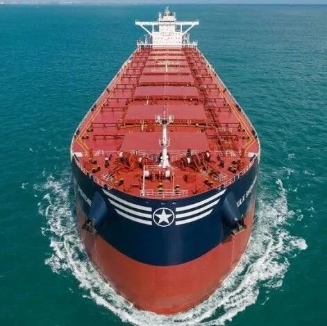 高位卖船！Sinokor以7350万美元出售纽卡斯尔型散货船