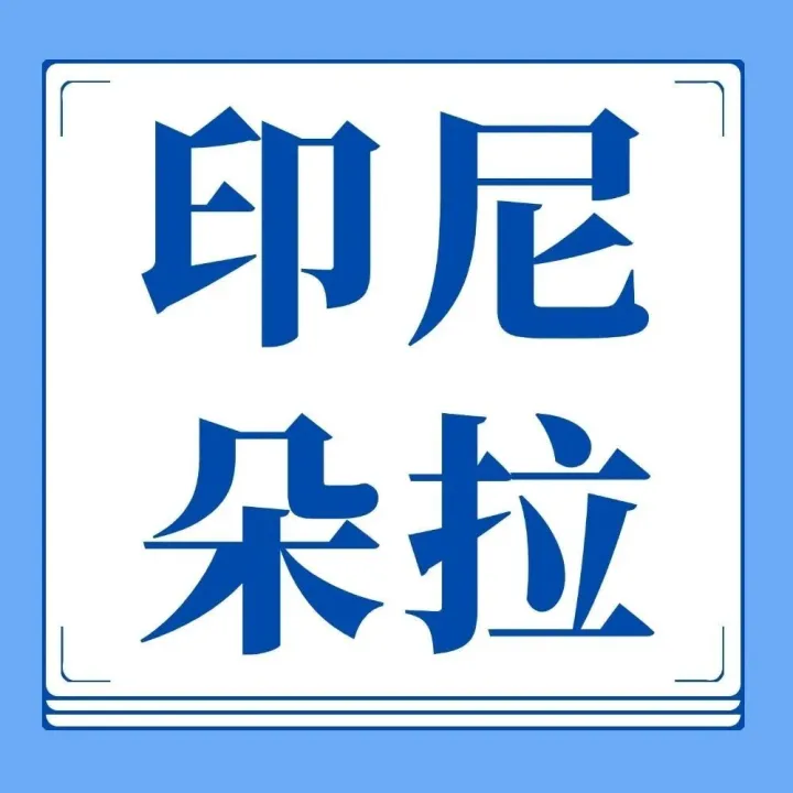 【印尼成功案例实战解析】政企关系搭建：PGAS 与 YUP 的案例，如何让政府成为项目推进的助力？