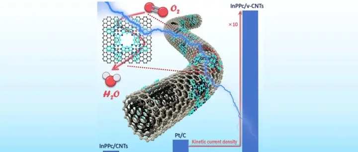中科院福建物构所<em>韩</em><em>丽</em><em>丽</em>团队AM: 共价悬挂式位点设计实现高效ORR电催化