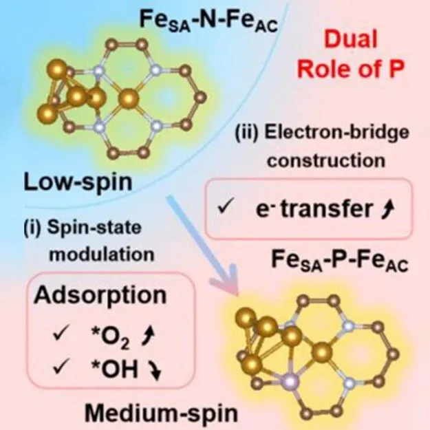 厦门大学孙世刚、姜艳霞、黄蕊团队Angew：磷桥连自旋触发器助力高效氧还原
