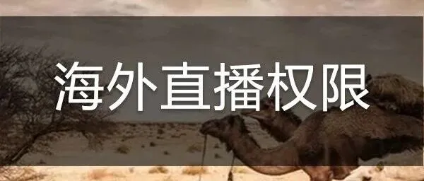 非洲直播不踩坑！网络与设备避坑指南