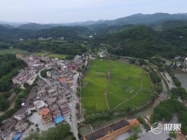 大疆 精灵3 标准版 无人机