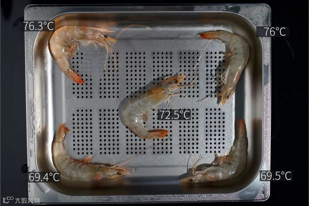 四大高端蒸箱神仙打架,谁成终极之选?我被超级国货治愈了