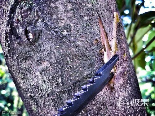 全能的如意棒-汉道野外生存战术棍测评