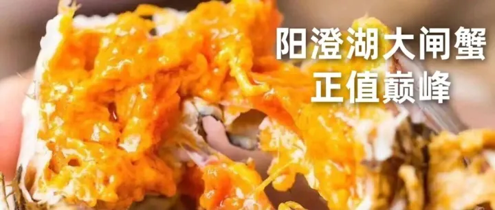 158 元 4 对！闰六月 “慢养” 的阳澄湖蟹，现在吃最划算