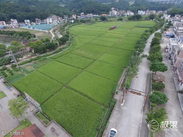 大疆 精灵3 标准版 无人机