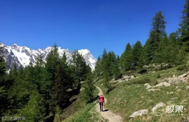 Suunto Traverse Alpha 腕表