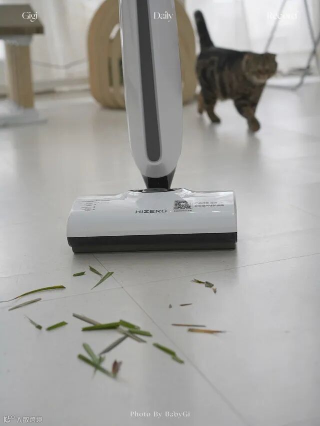 打工人首选洗地机!解决996扫屋烦恼,高效清洁回家就能葛优躺