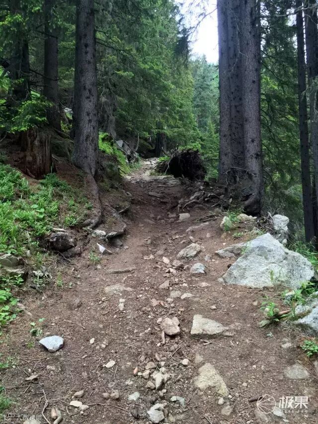 Suunto Traverse Alpha 腕表