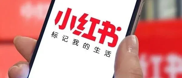 新手必看！小红书海外直播的「极简设备清单」，百元就能搞定